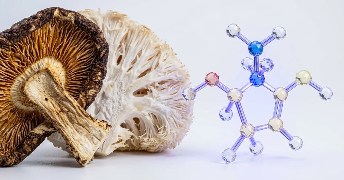 Ergothioneine: The Mushroom "Longevity Vitamin" and Your Aging Brain