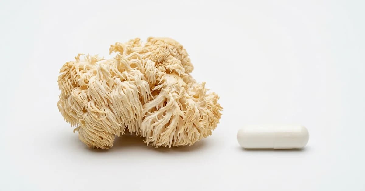 Can Lion's Mane Sharpen Focus Today? The Acute-Dose Evidence