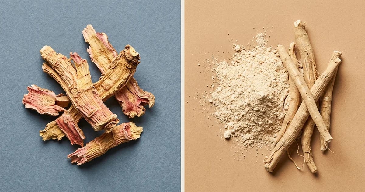 Rhodiola vs Ashwagandha: The Stimulating Adaptogen vs the Calming One