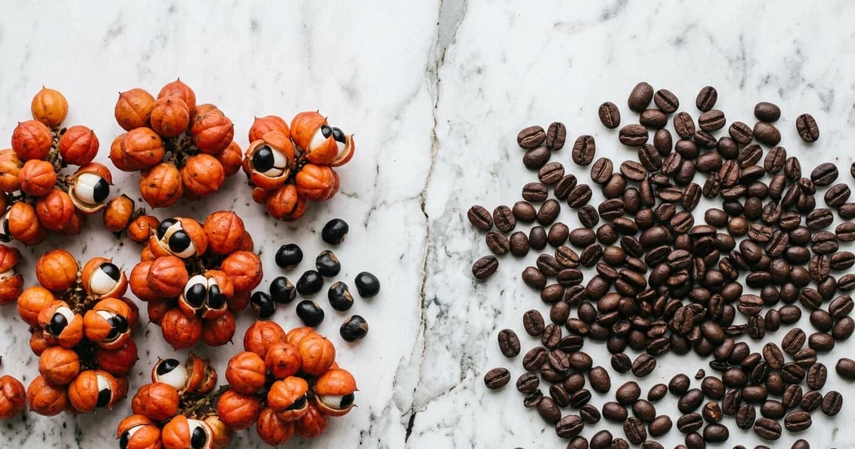 Guarana vs Caffeine: Is the Whole-Plant Extract Really Different From Coffee?