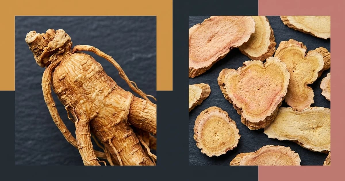 Panax Ginseng vs Rhodiola: Two Classic Adaptogens for Mental Energy