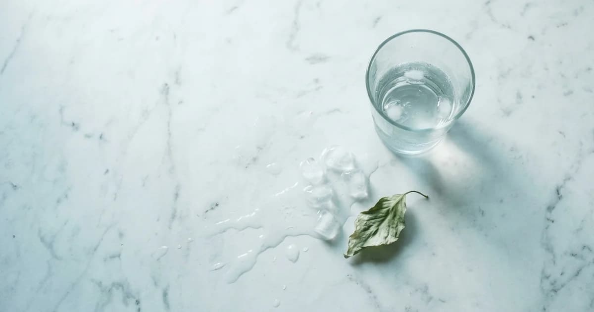 Hydration and the Brain: How Mild Dehydration Quietly Dulls Your Focus