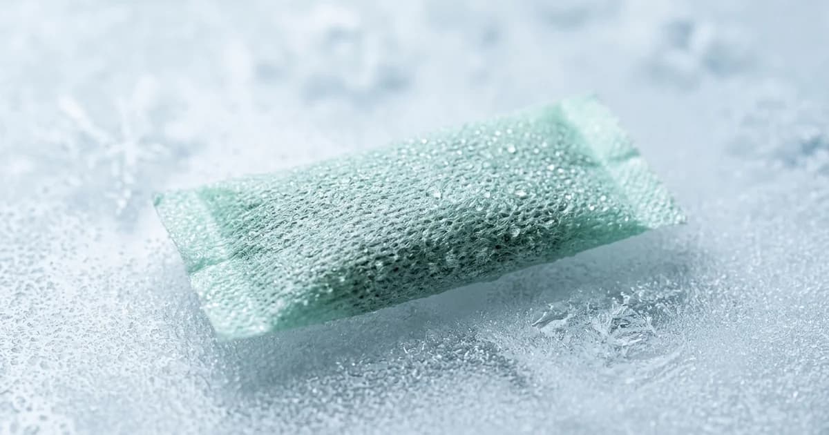 Rogue Wintergreen Nicotine Pouches: What You Need to Know Before You Buy