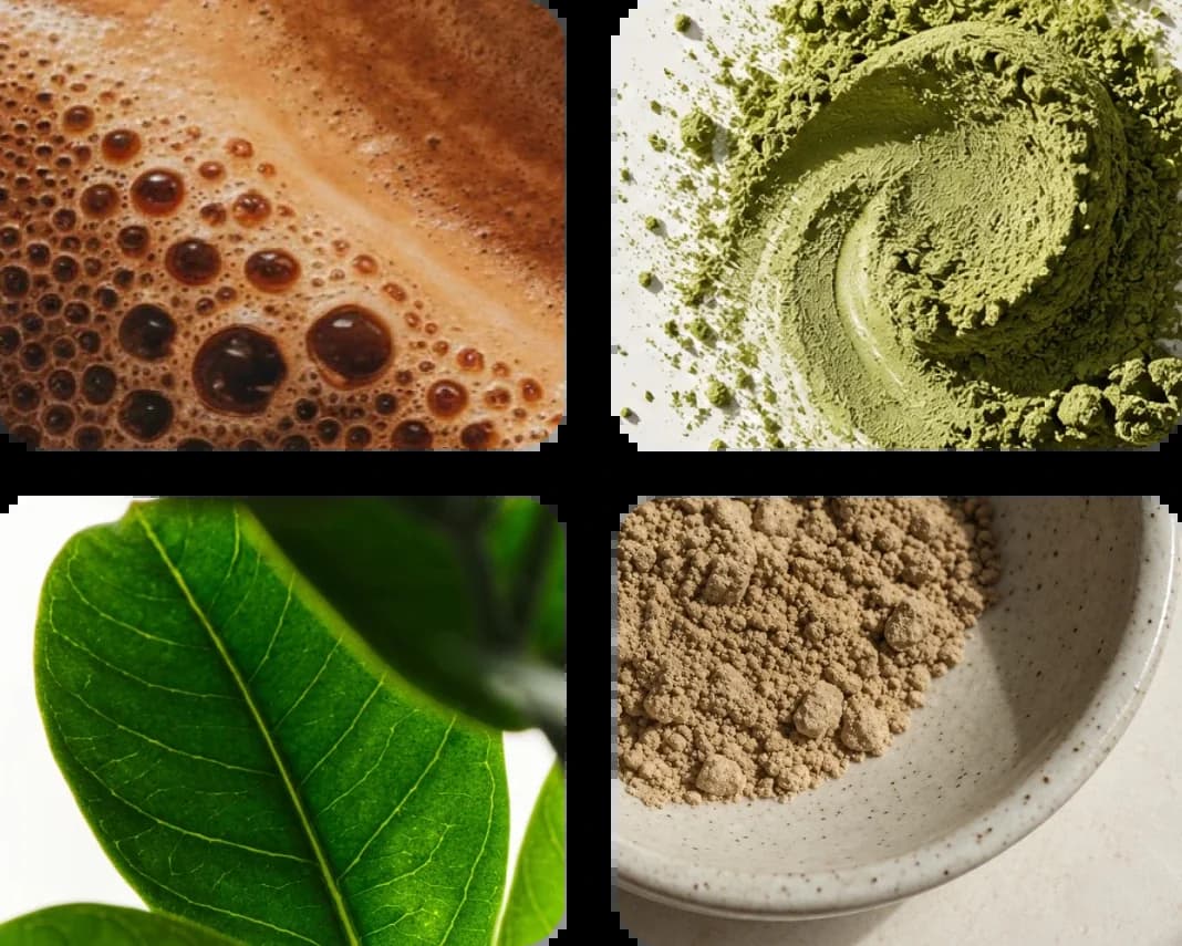 A grid of four close-up ingredient photos: coffee crema, matcha powder, a leaf, and a mineral powder