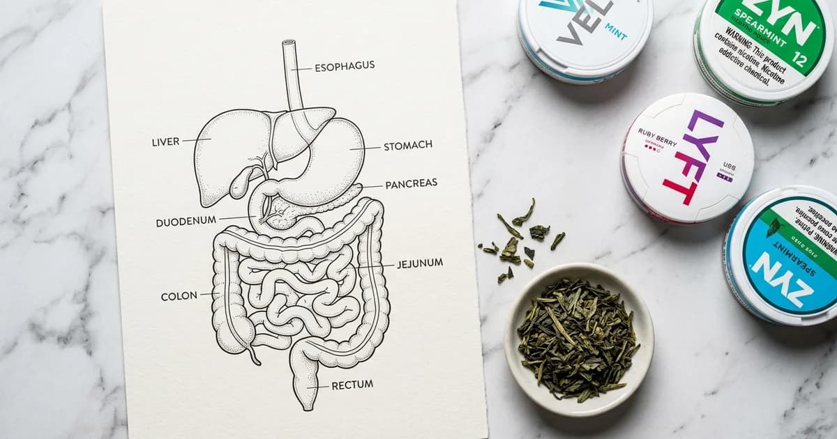 Does Nicotine Make You Poop? The Science Behind Your Gut's Reaction