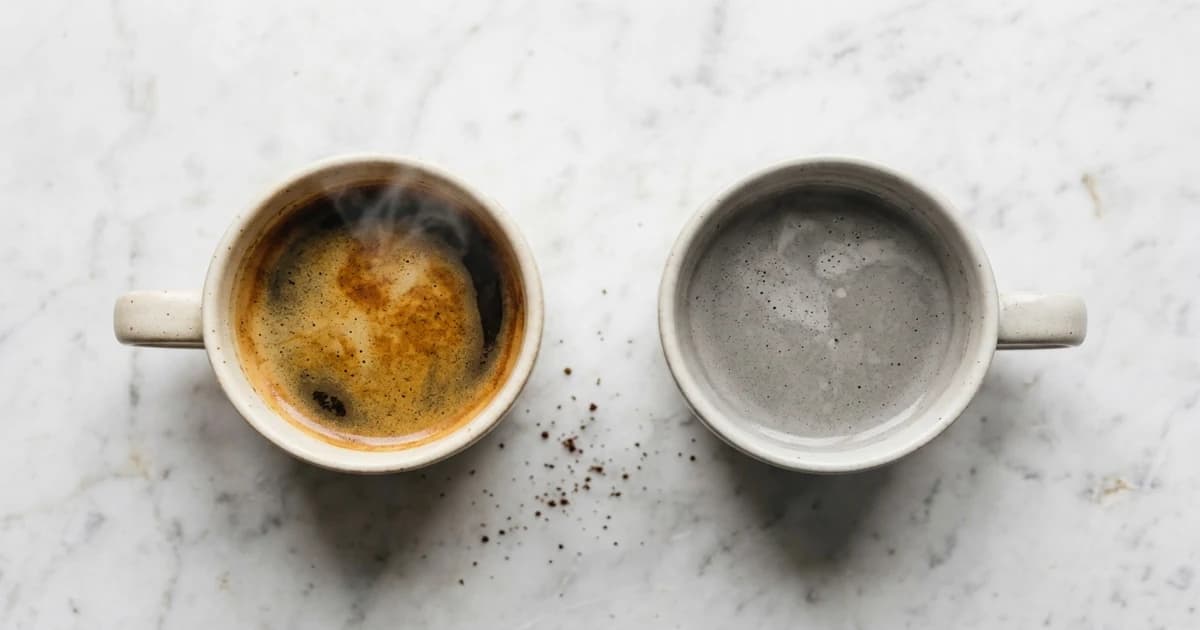 Flavor Fatigue: Why Your Daily Coffee, Energy Drink, or Pouch Stops Tasting Like Anything