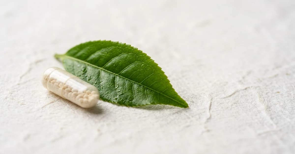 L-Theanine and SSRIs: Lexapro, Zoloft, Prozac (and Wellbutrin) Drug by Drug