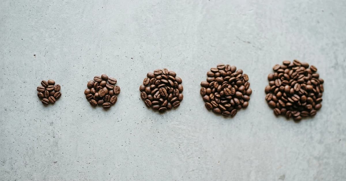 Strongest Caffeine Pouches, Ranked by mg per Pouch