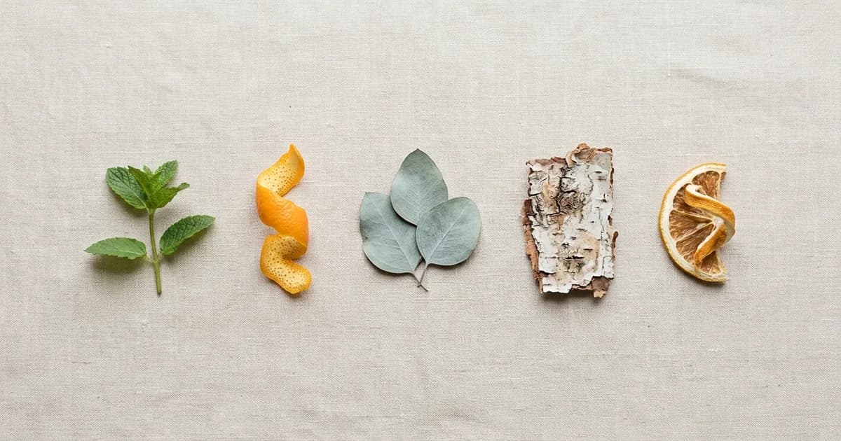 ZYN Ingredients: What Is in Each Pouch